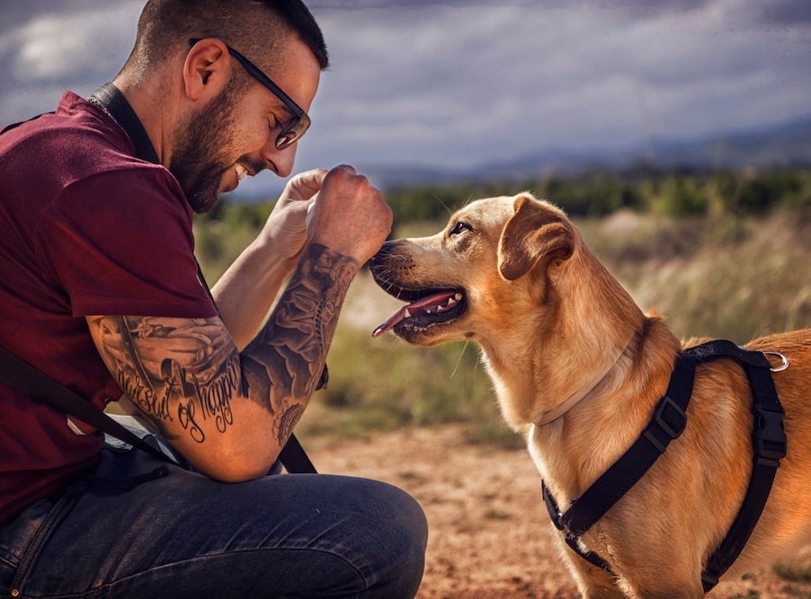 military veteran with dog