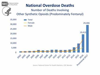 A chart showing national overdose deaths.