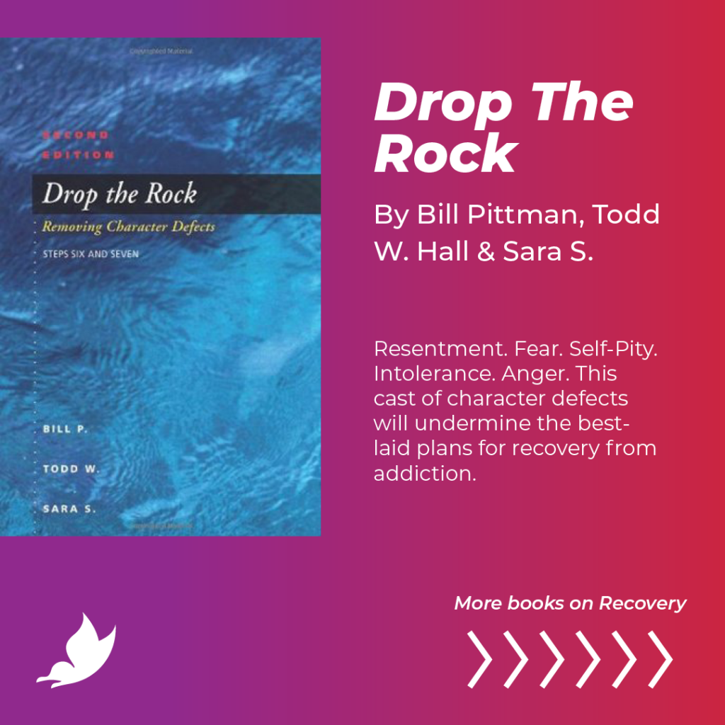 drop the rock addiction recovery book