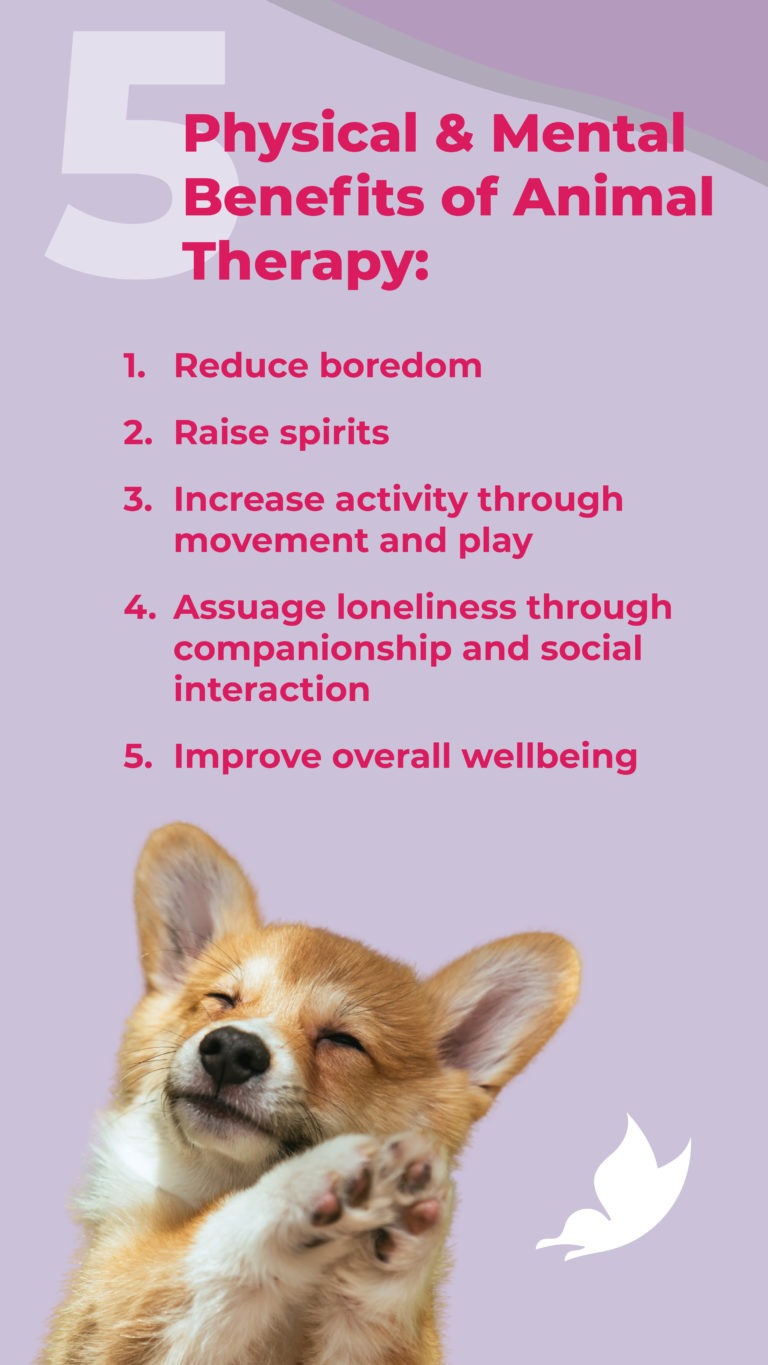 Benefits Of Pets During Addiction Recovery