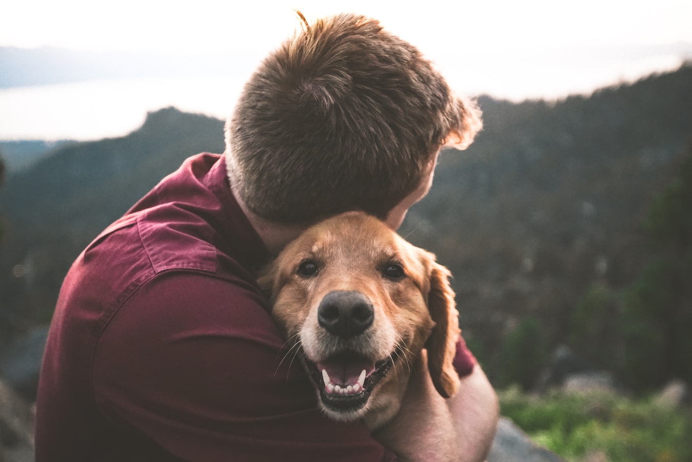 a man takes a break during his hike to give his dog affection. animals can be helpful during addiction recovery