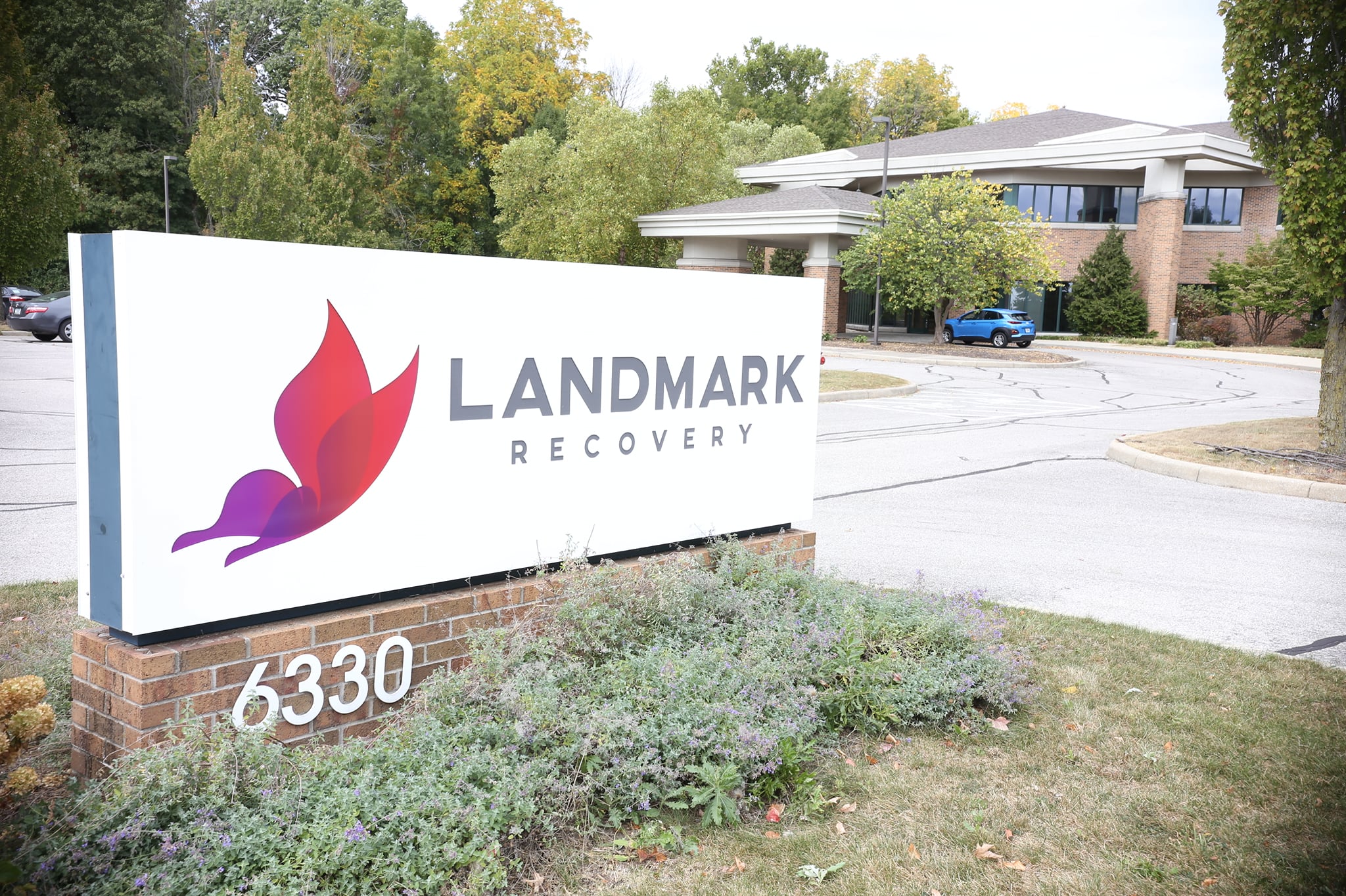 landmark recovery