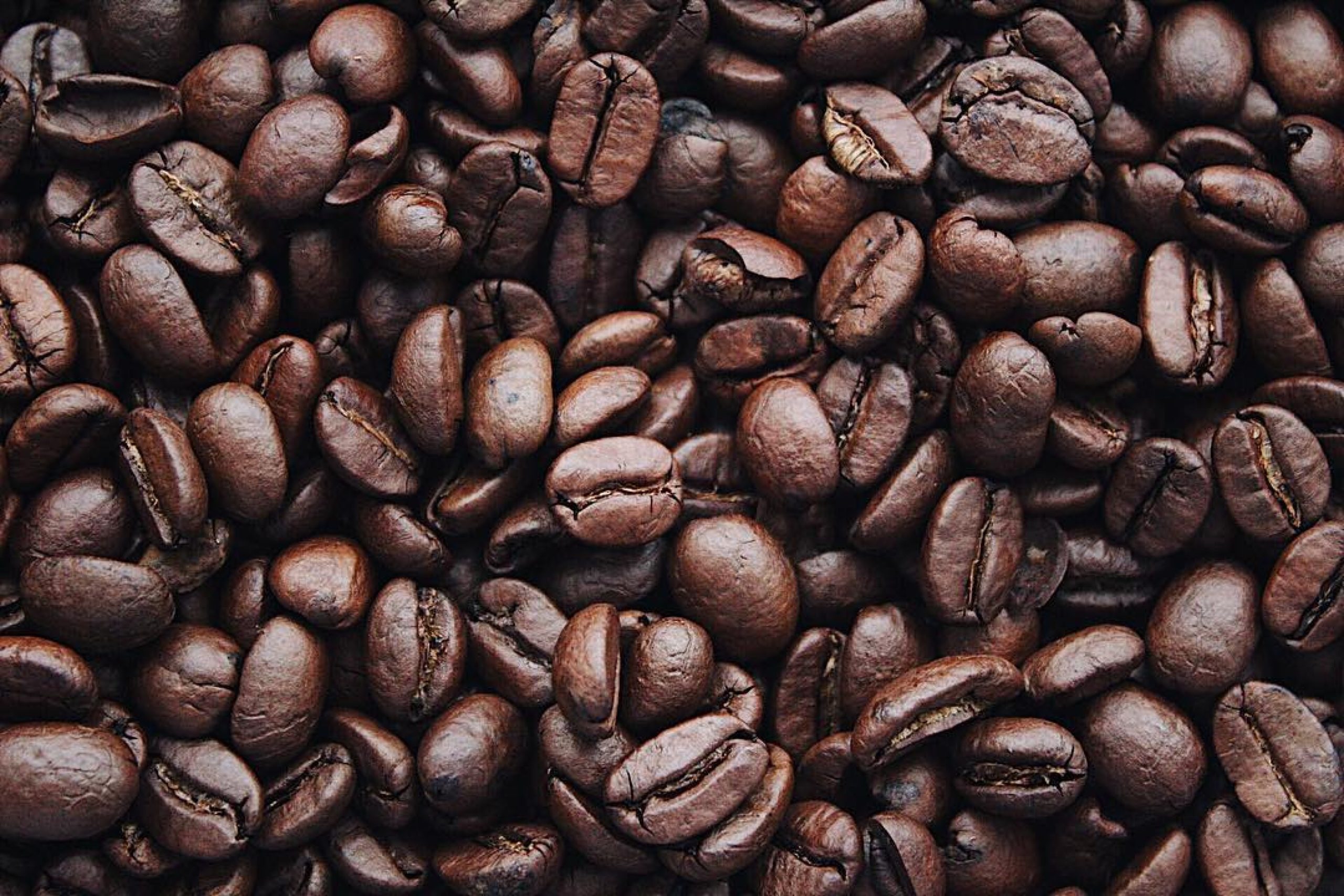 Should you drink caffeine while in recovery