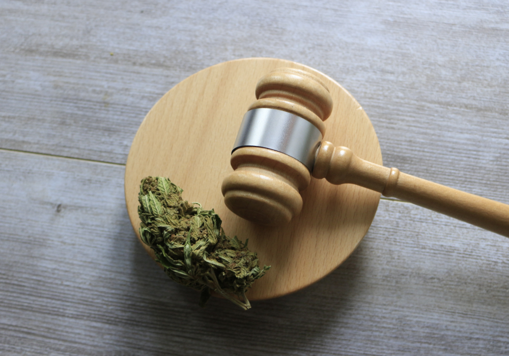 A marijuana bud rests on wooden circle by a judge's gavel.