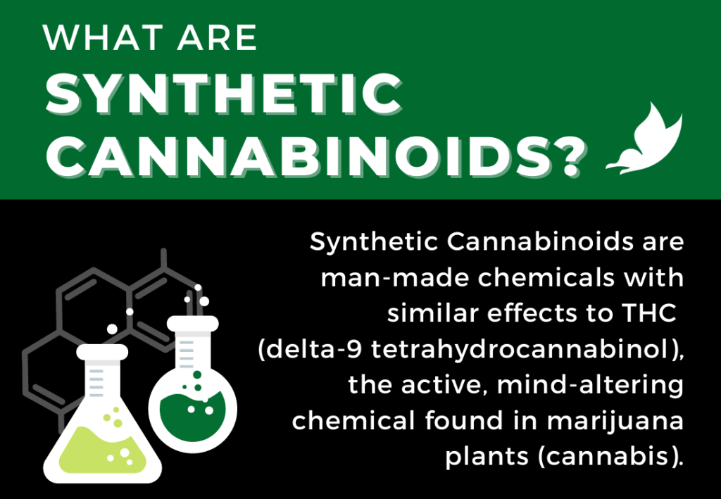 What Are Synthetic Cannabinoids? – Landmark Recovery