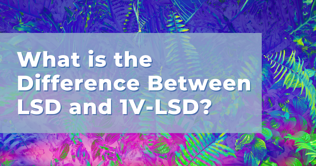 What is 1V-LSD? – Landmark Recovery