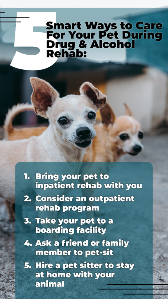 5 Smart Ways to Care For Your Pet During Drug And Alcohol Rehab
