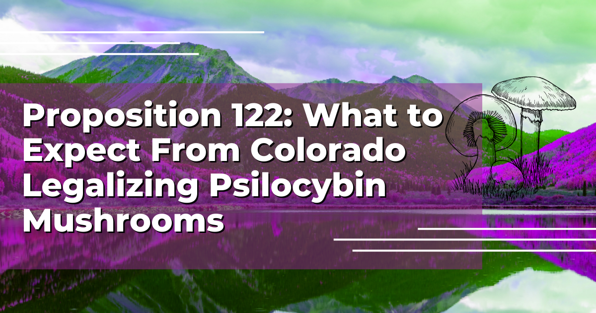 Psilocybin Mushrooms Are Legal In Colorado. What Now?