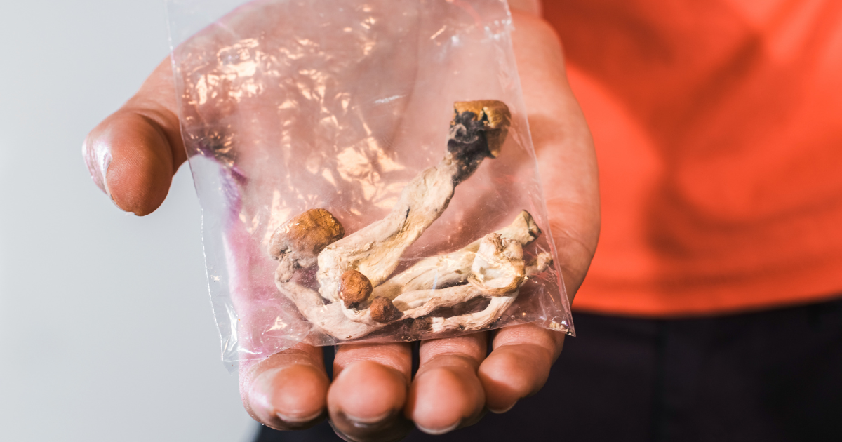 what to expect from legal psilocybin mushrooms in Colorado