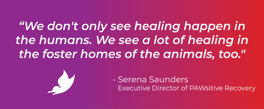 quote from pawsitive recovery executive director serena saunders