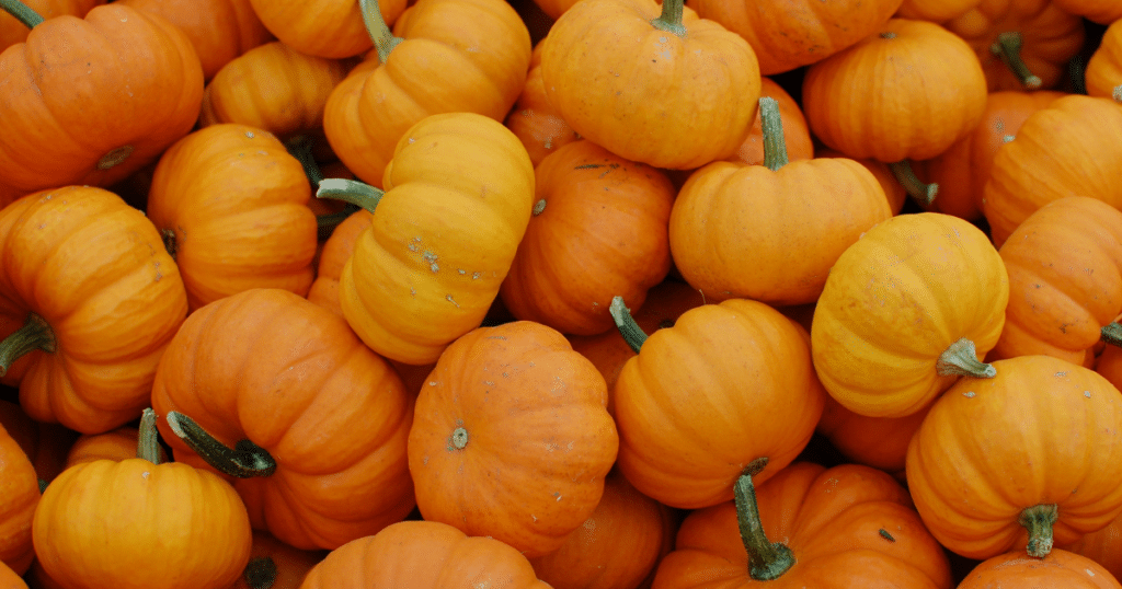 Pumpkins during Sober October