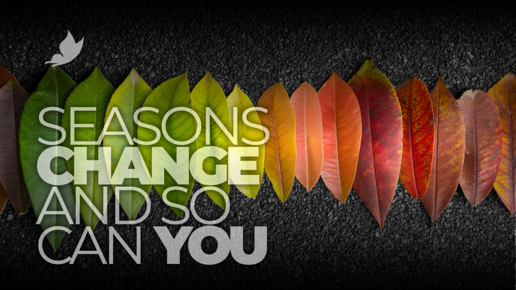 The seasons change, and so can you!